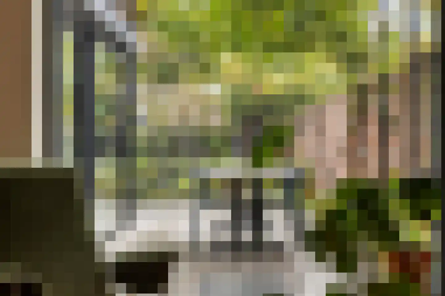 Bleijenhoek 10 Bladel thumbnail 26