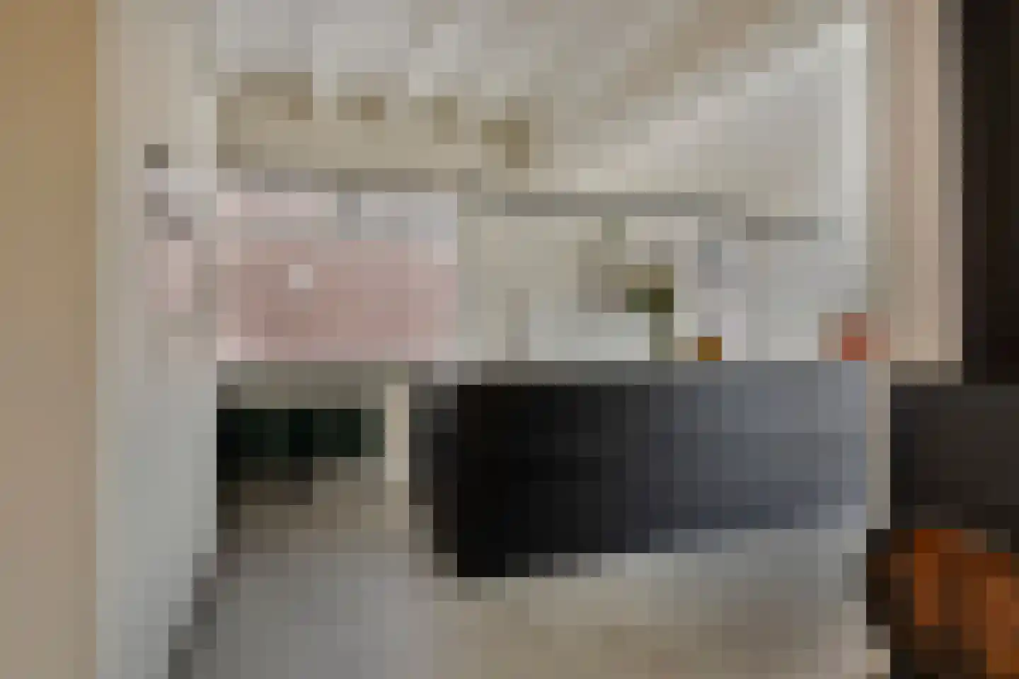 Bleijenhoek 10 Bladel thumbnail 27