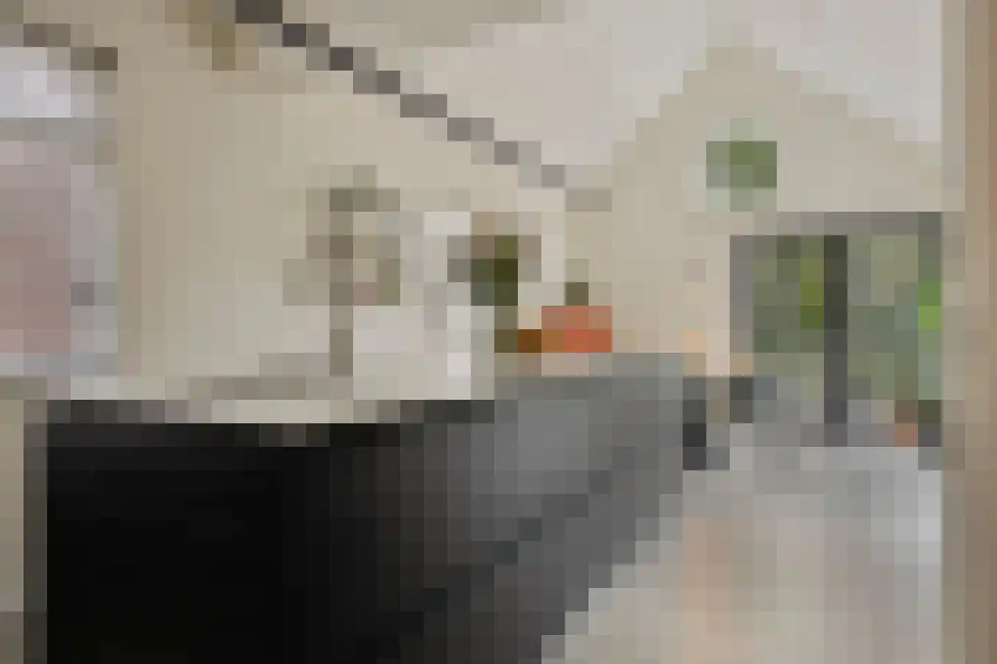 Bleijenhoek 10 Bladel thumbnail 28