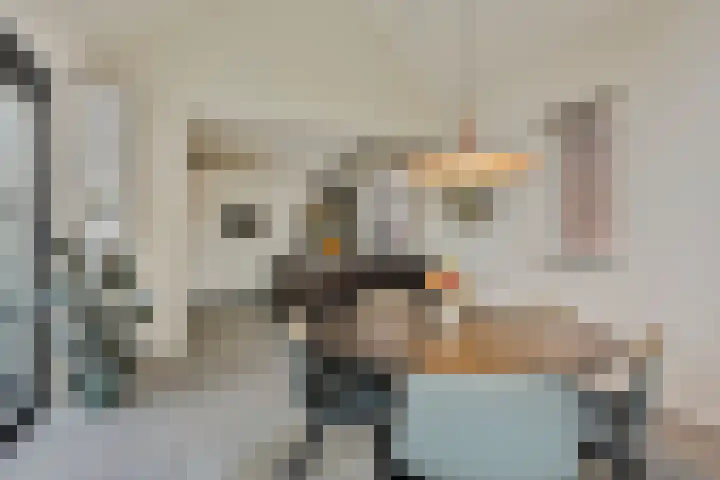 Bleijenhoek 10 Bladel thumbnail 37