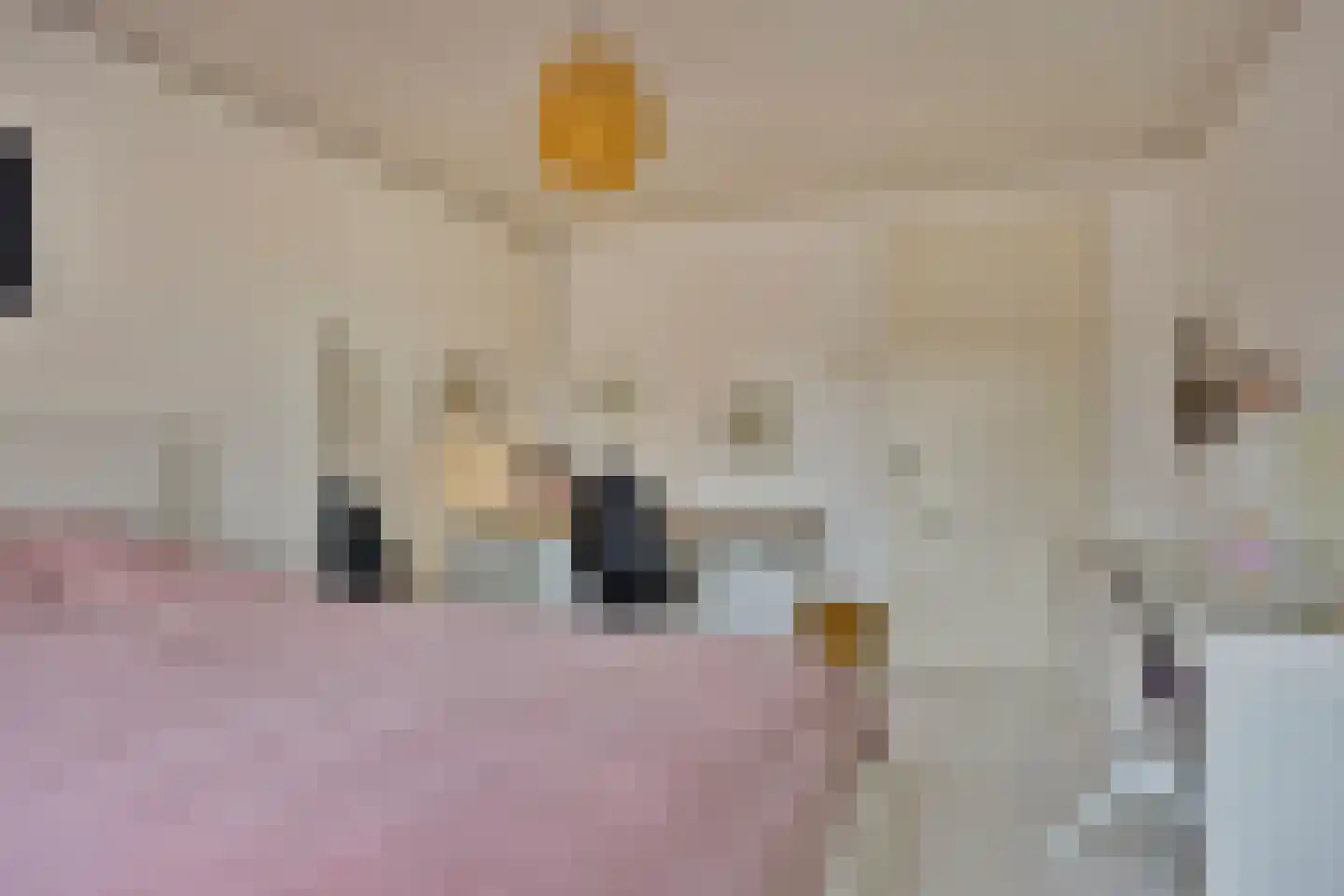 Bleijenhoek 10 Bladel thumbnail 47