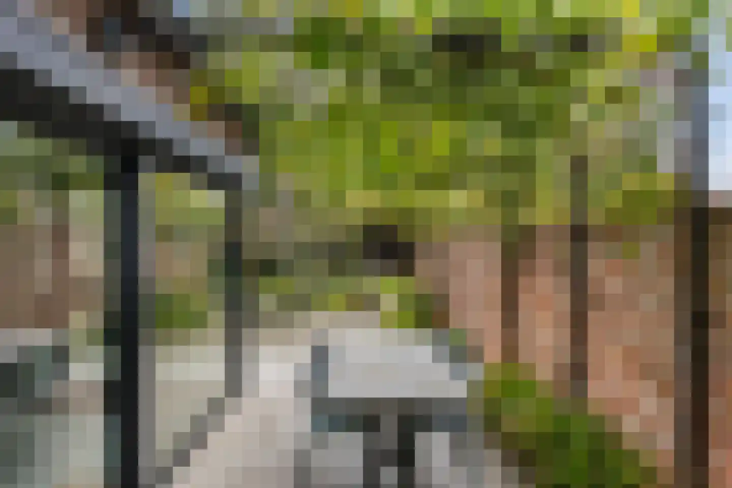Bleijenhoek 10 Bladel thumbnail 5