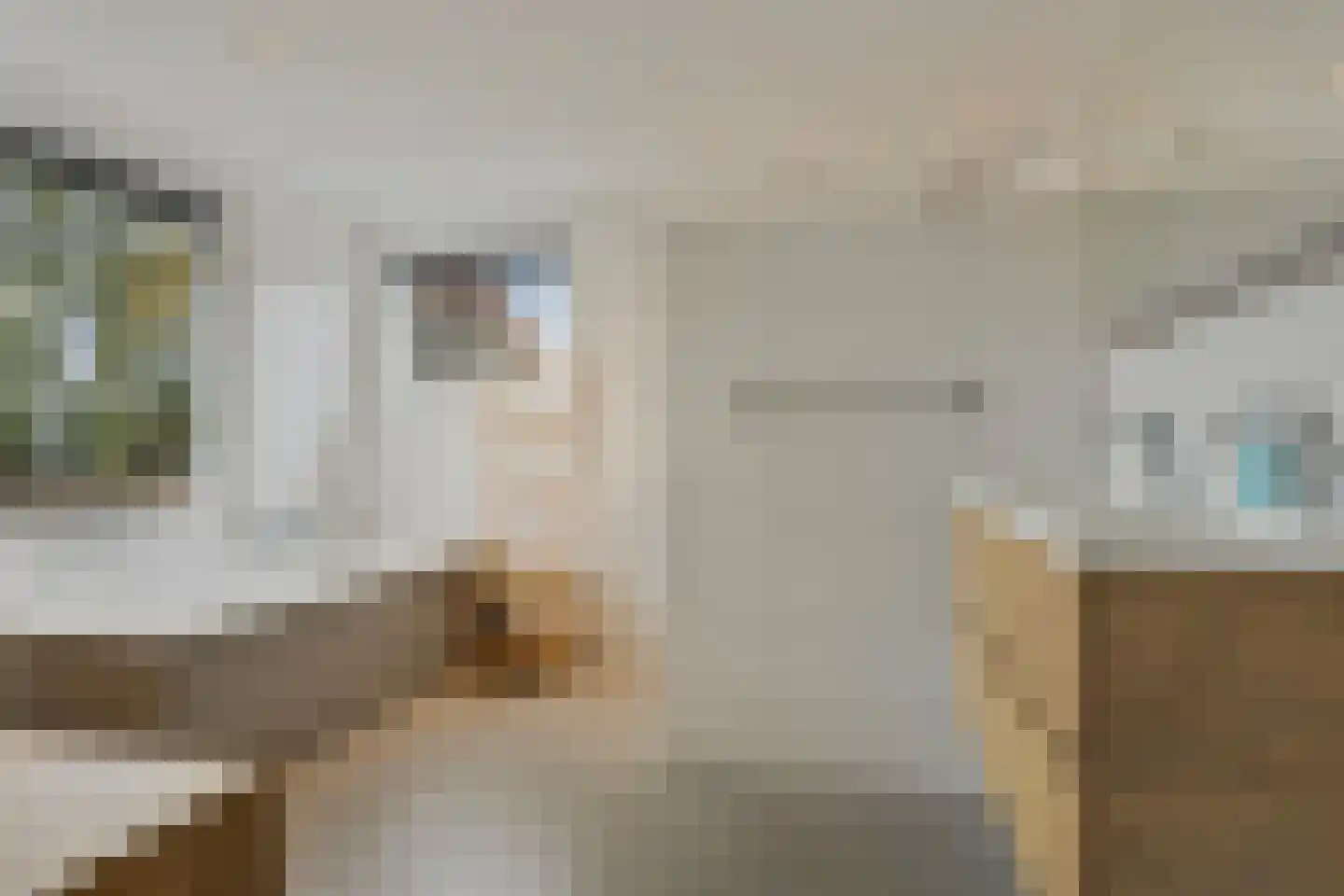 Bleijenhoek 10 Bladel thumbnail 50