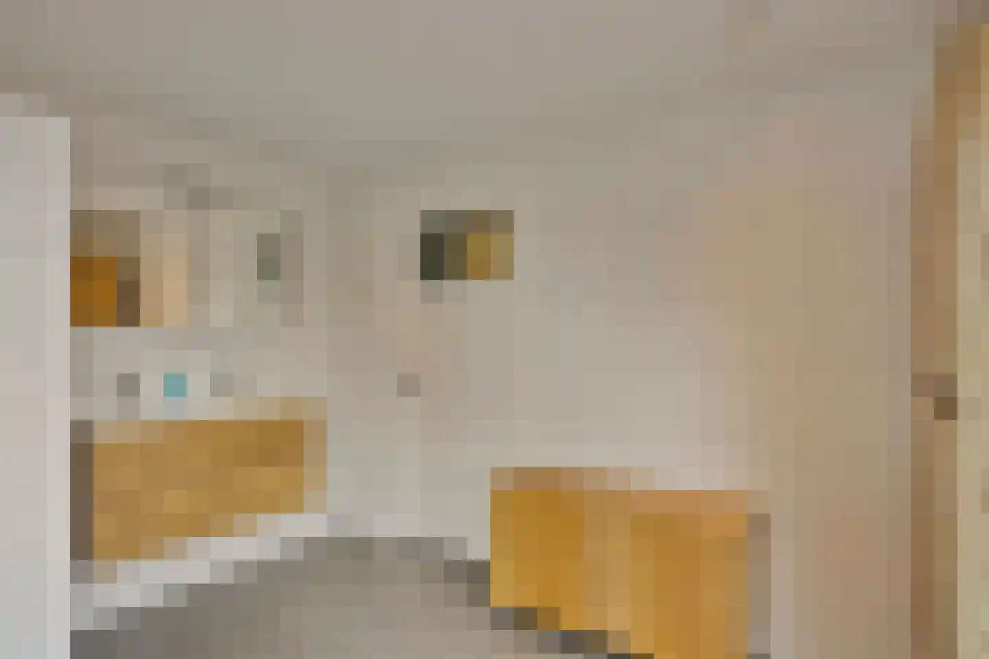 Bleijenhoek 10 Bladel thumbnail 53
