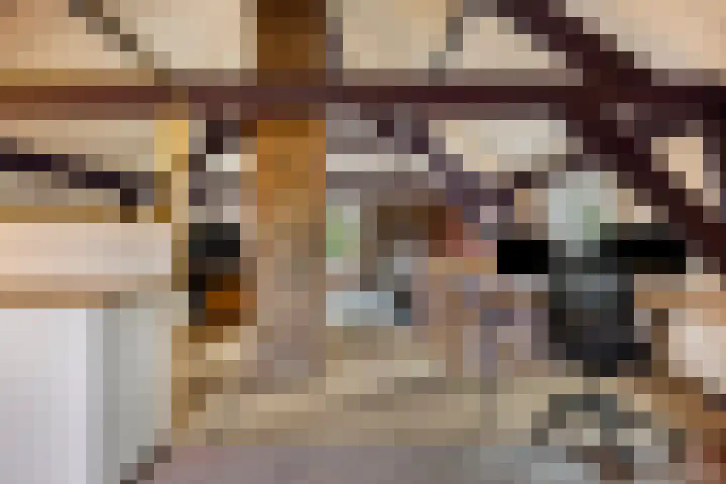 Bleijenhoek 10 Bladel thumbnail 55