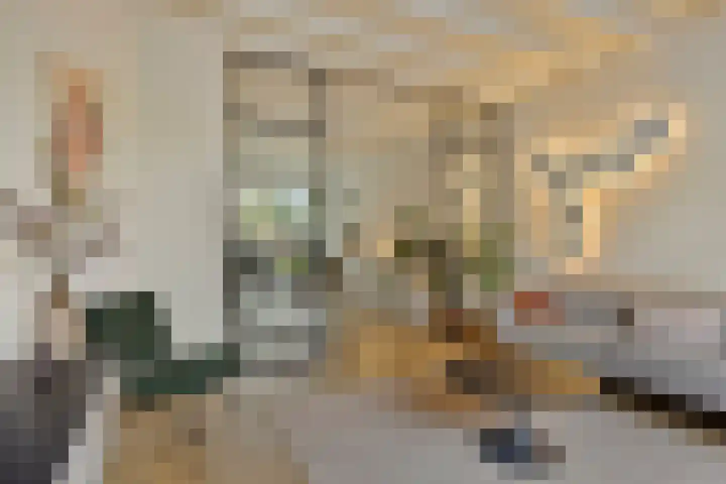 Bleijenhoek 10 Bladel thumbnail 6
