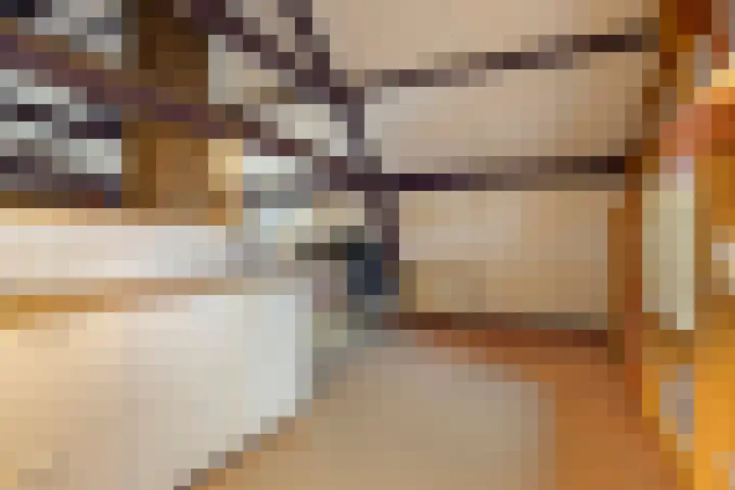 Bleijenhoek 10 Bladel thumbnail 61