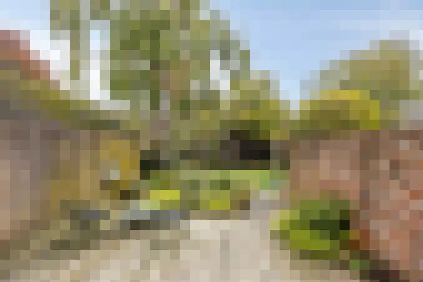 Bleijenhoek 10 Bladel thumbnail 63
