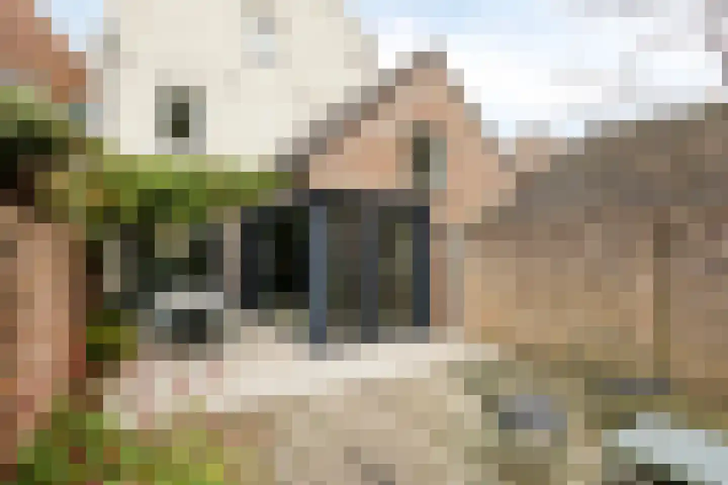Bleijenhoek 10 Bladel thumbnail 64