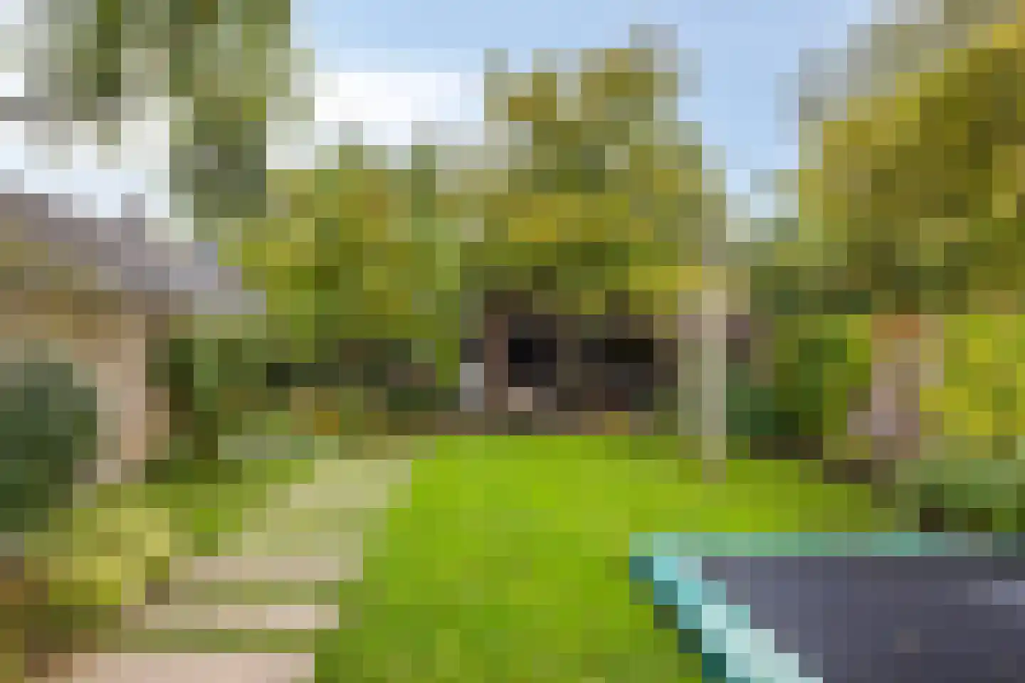 Bleijenhoek 10 Bladel thumbnail 65