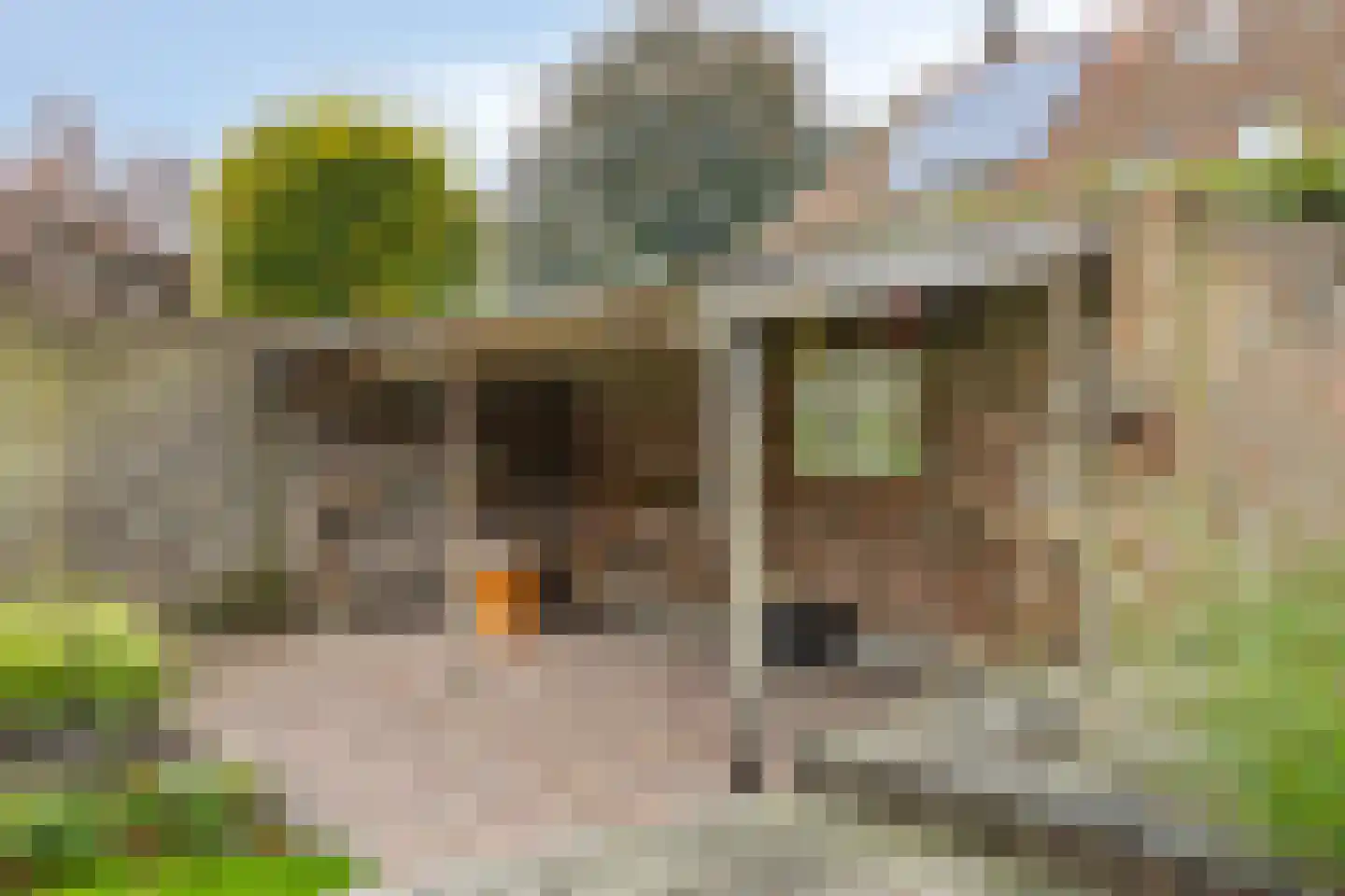 Bleijenhoek 10 Bladel thumbnail 66