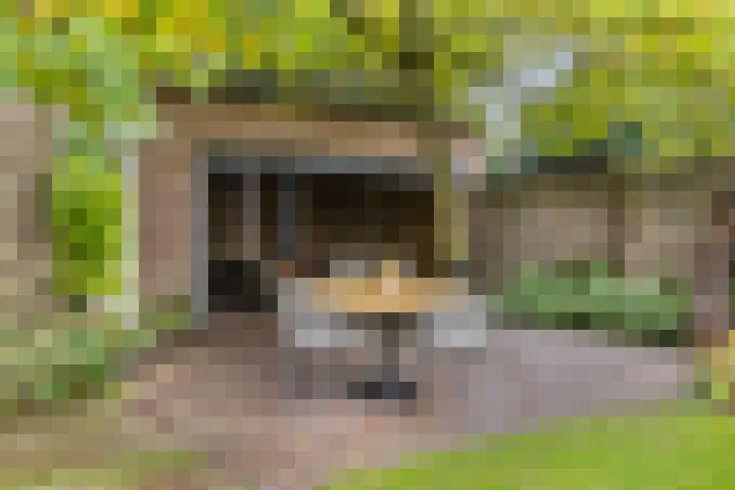 Bleijenhoek 10 Bladel thumbnail 68