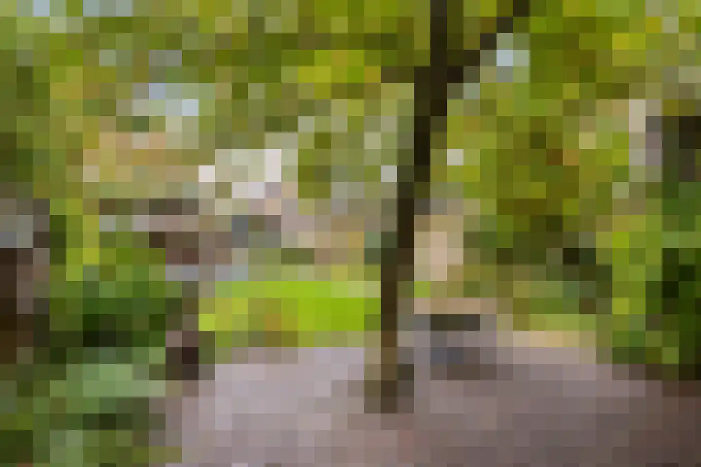 Bleijenhoek 10 Bladel thumbnail 72