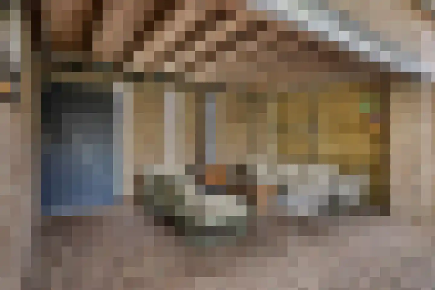 Bleijenhoek 10 Bladel thumbnail 73