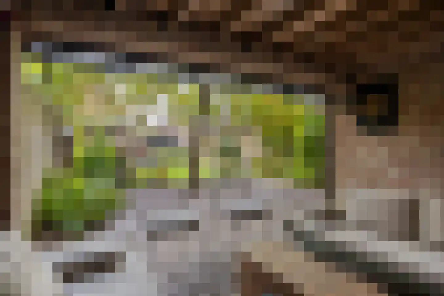 Bleijenhoek 10 Bladel thumbnail 74