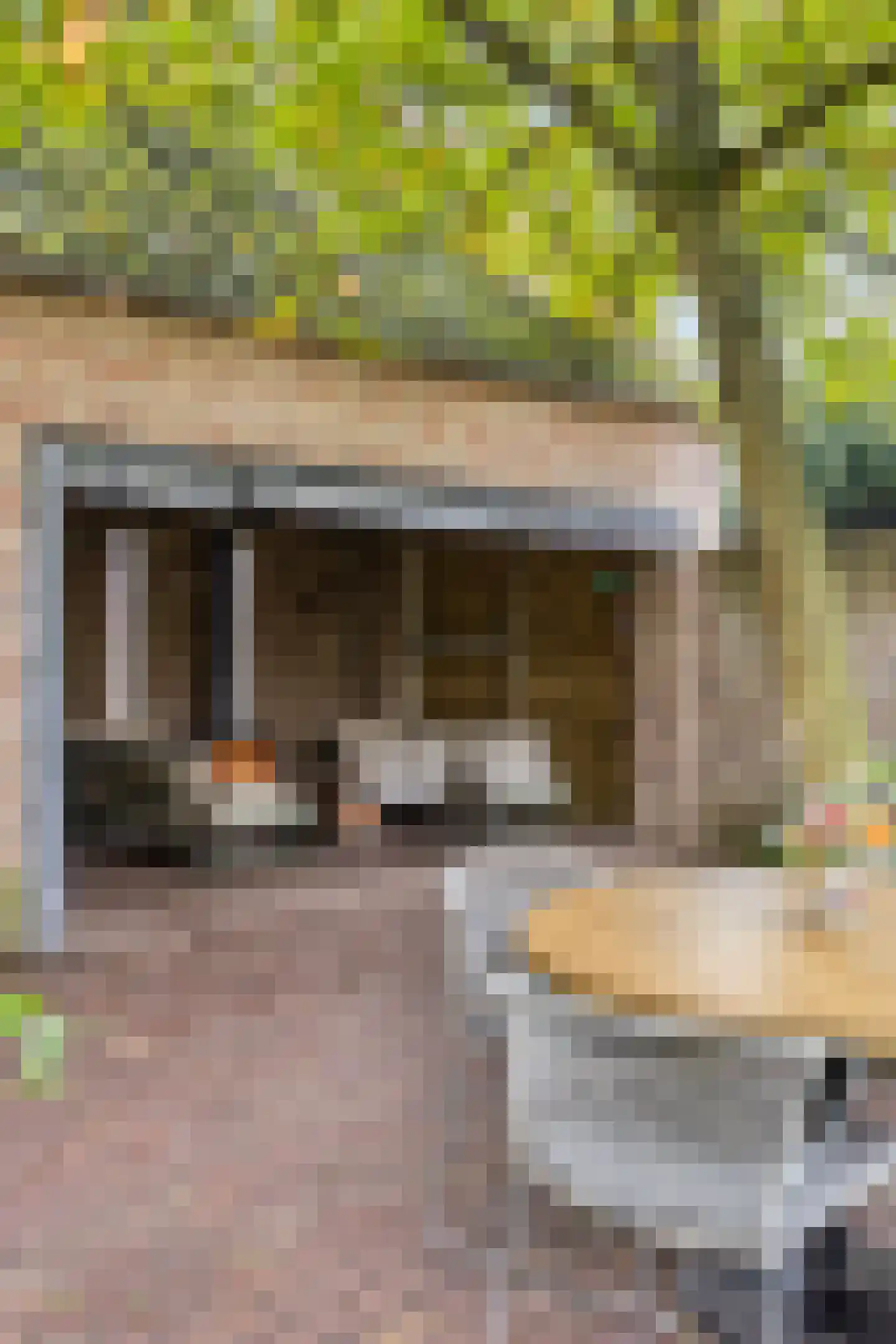 Bleijenhoek 10 Bladel thumbnail 75