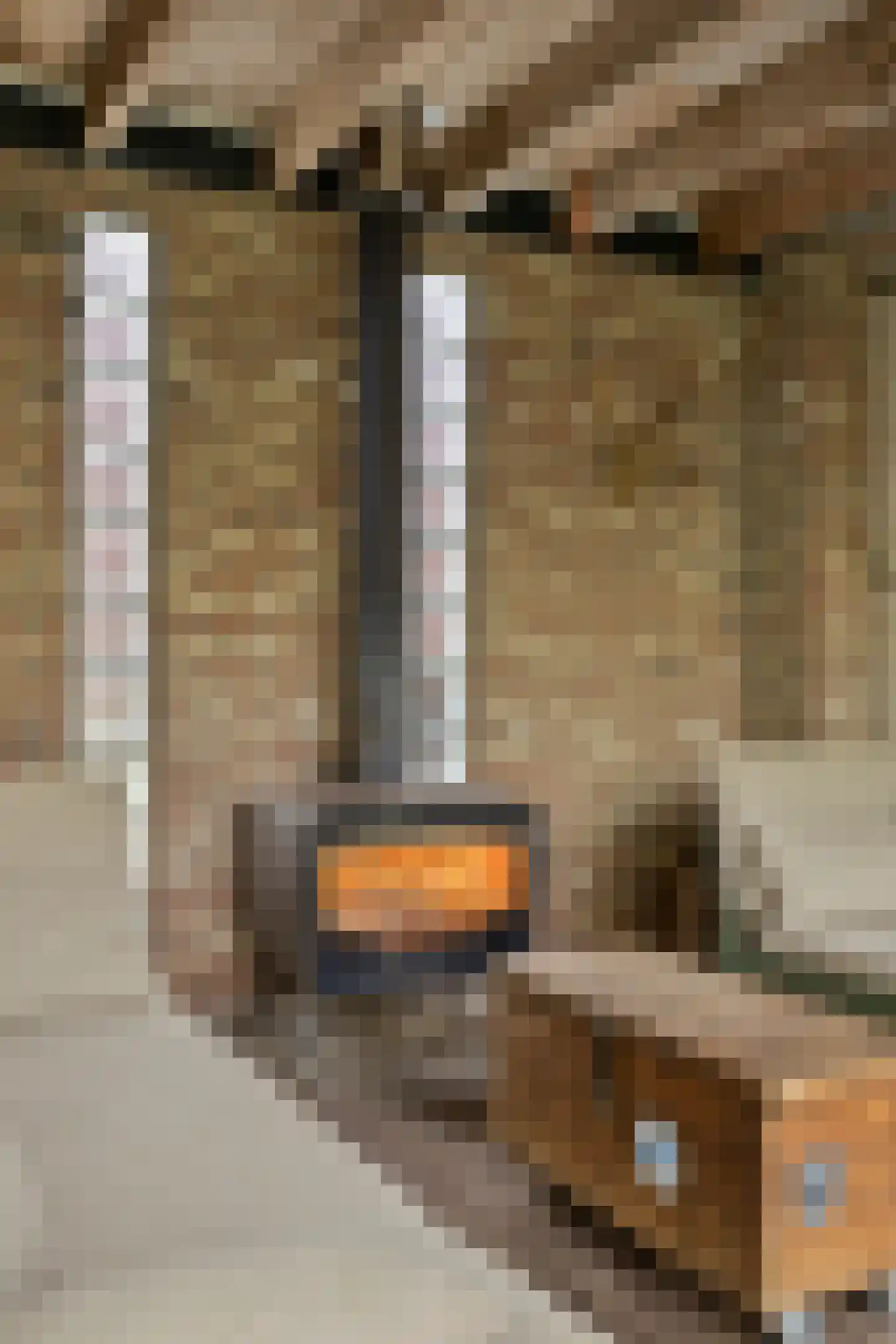 Bleijenhoek 10 Bladel thumbnail 76