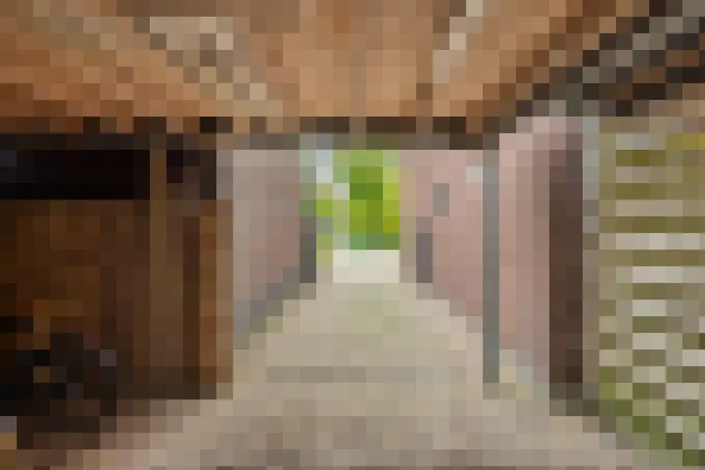 Bleijenhoek 10 Bladel thumbnail 77