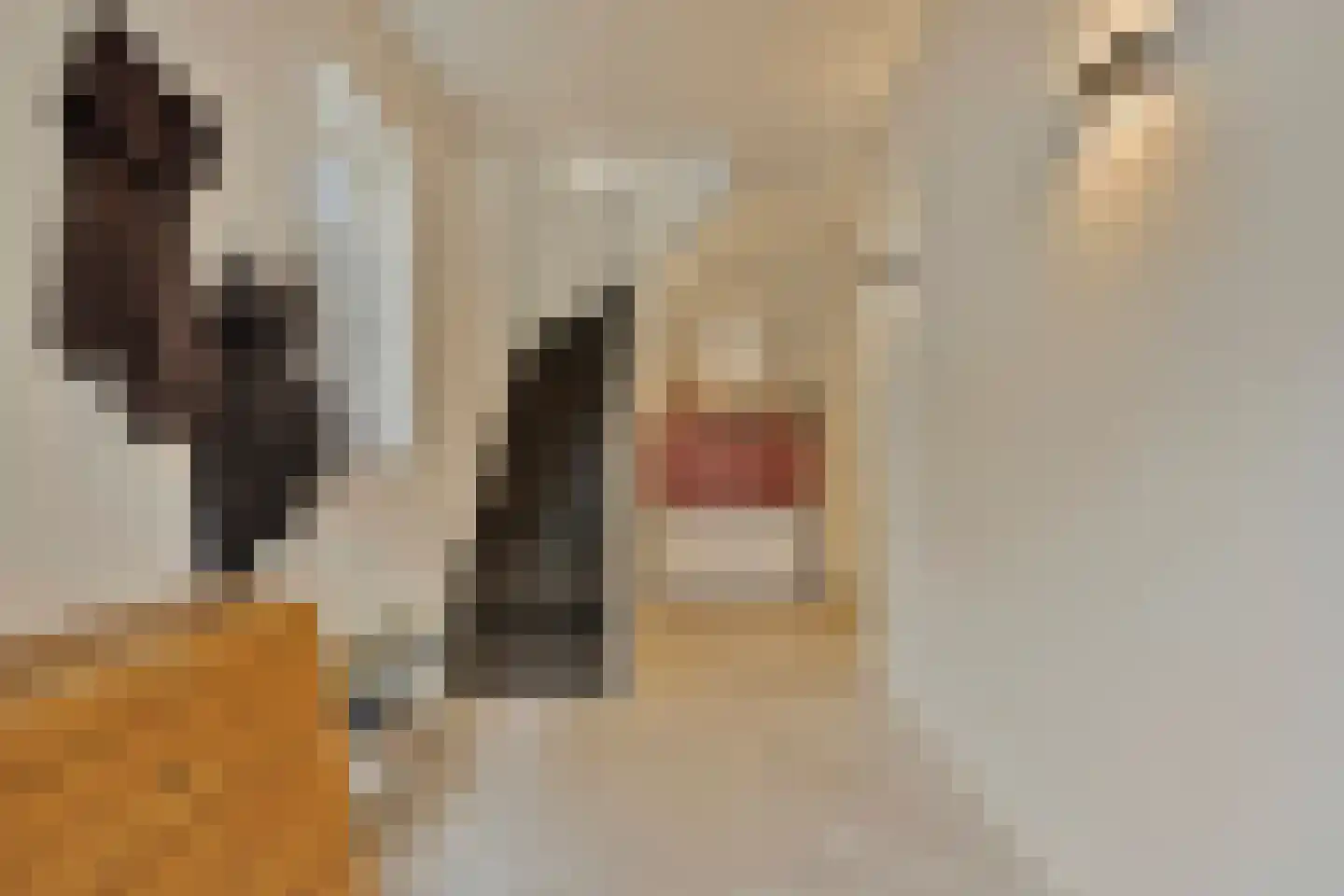 Bleijenhoek 10 Bladel thumbnail 8