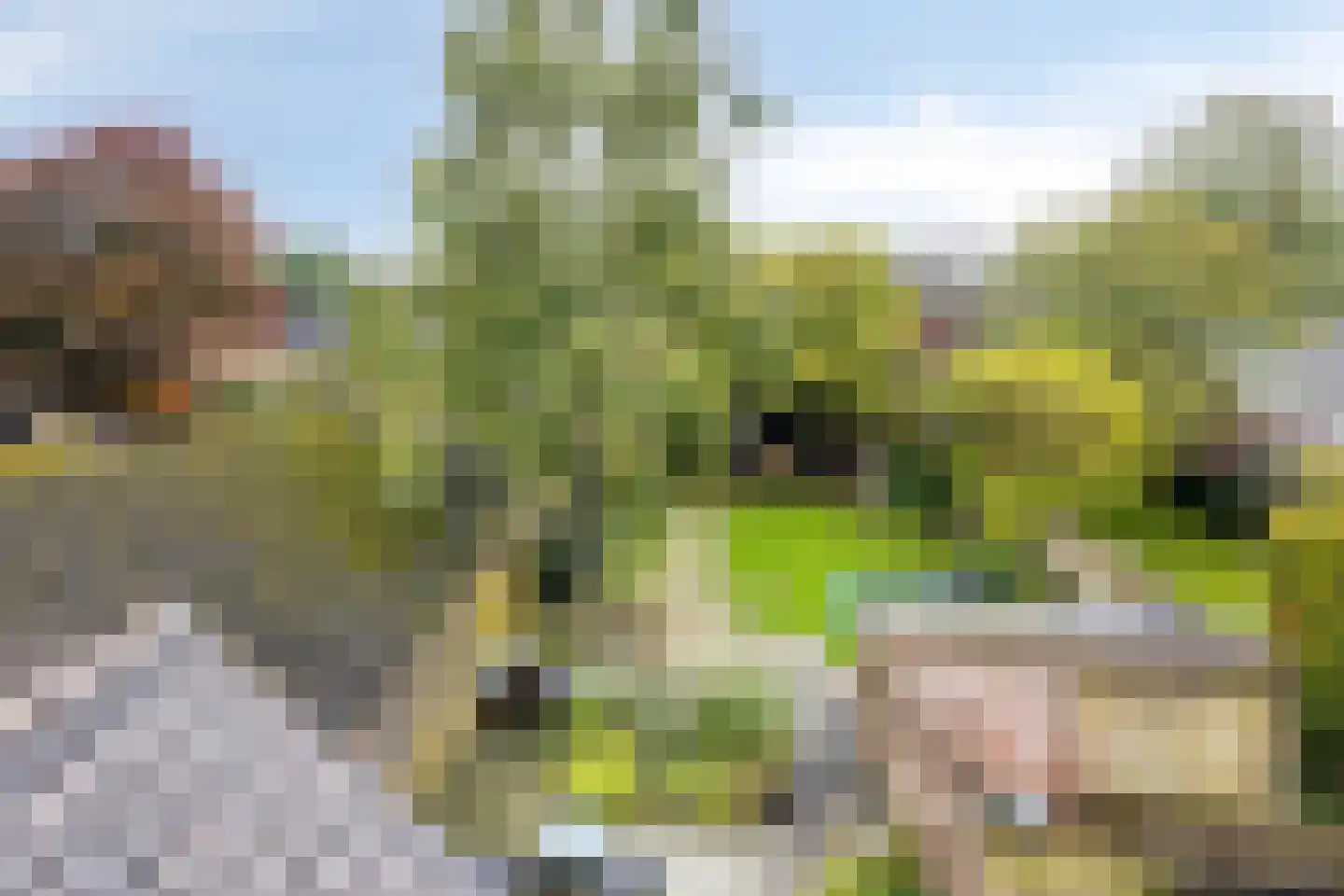 Bleijenhoek 10 Bladel thumbnail 86
