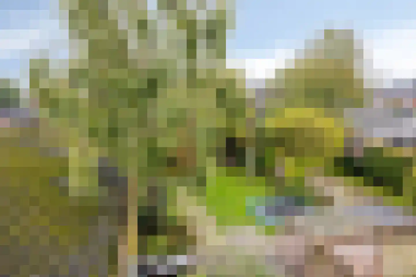 Bleijenhoek 10 Bladel thumbnail 87