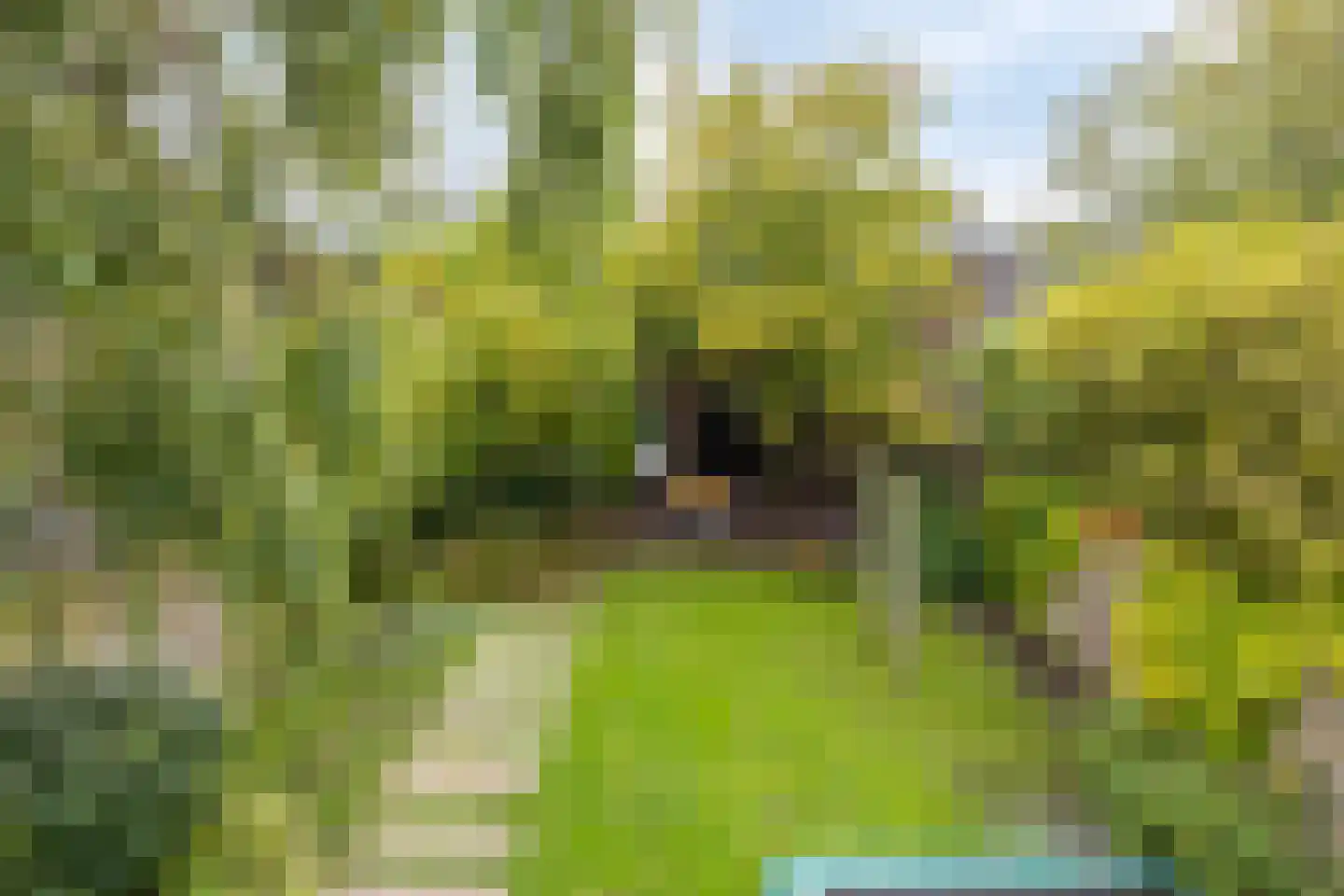 Bleijenhoek 10 Bladel thumbnail 88