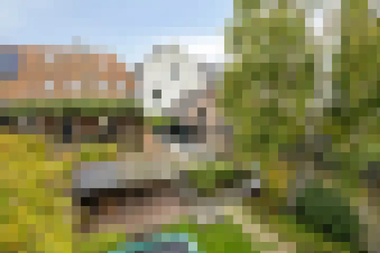 Bleijenhoek 10 Bladel thumbnail 89