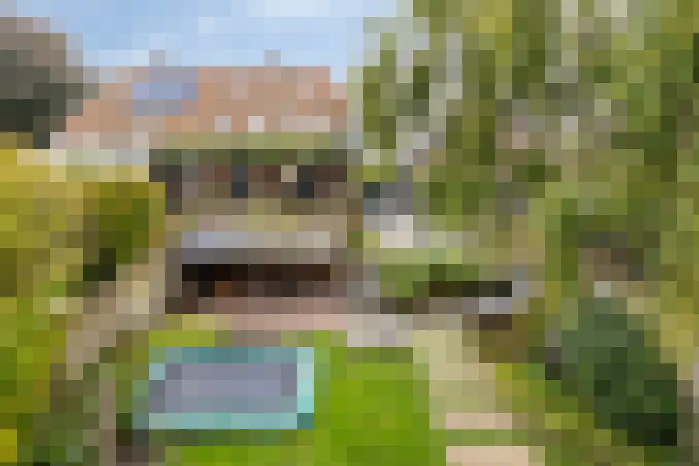 Bleijenhoek 10 Bladel thumbnail 90