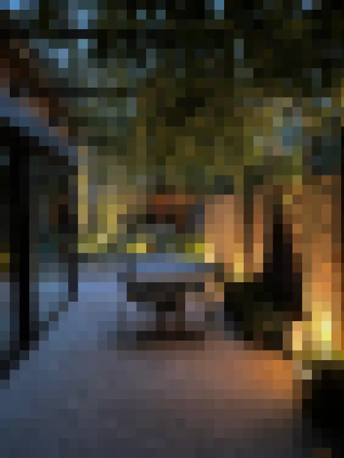 Bleijenhoek 10 Bladel thumbnail 92