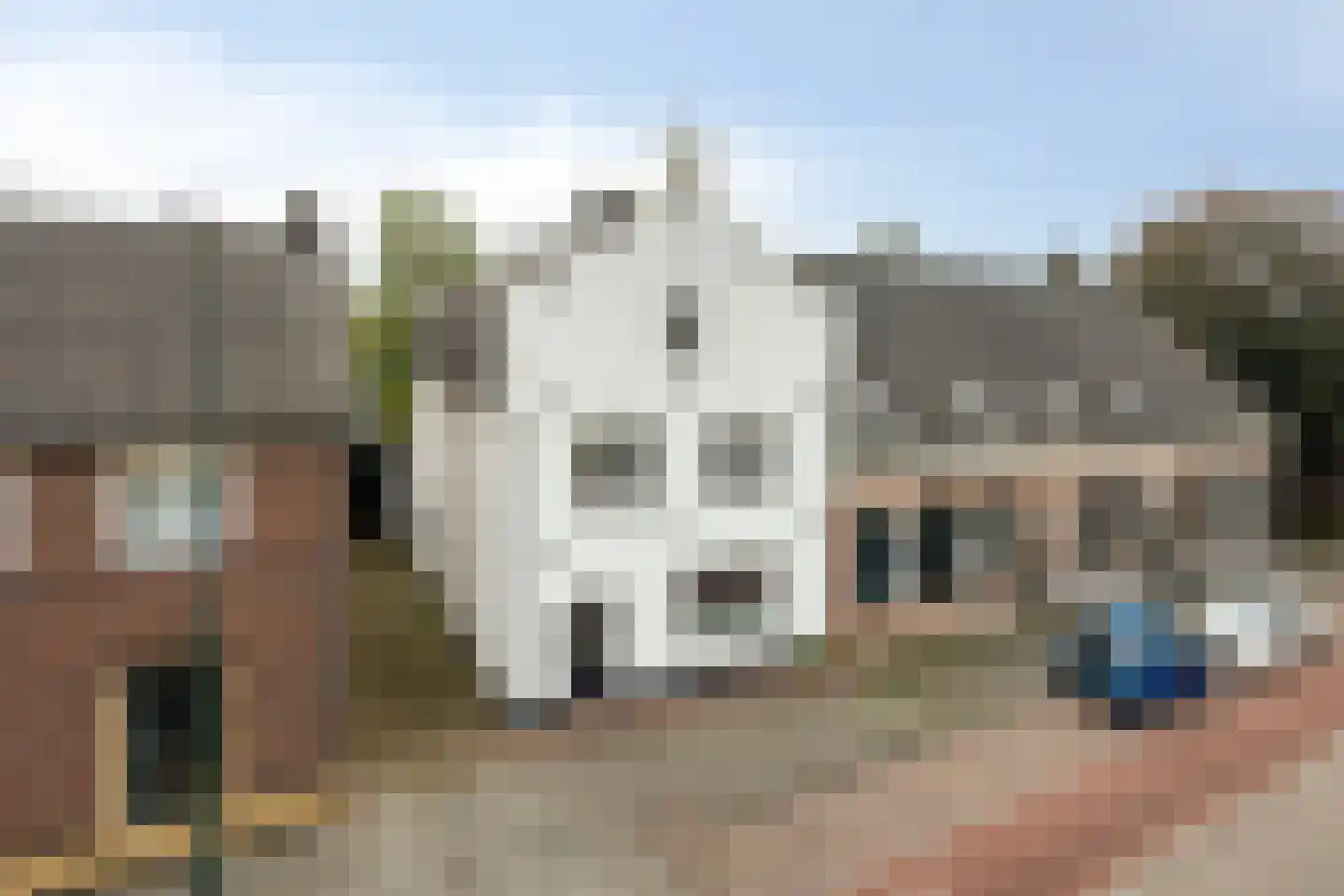 Bleijenhoek 10 Bladel thumbnail 93