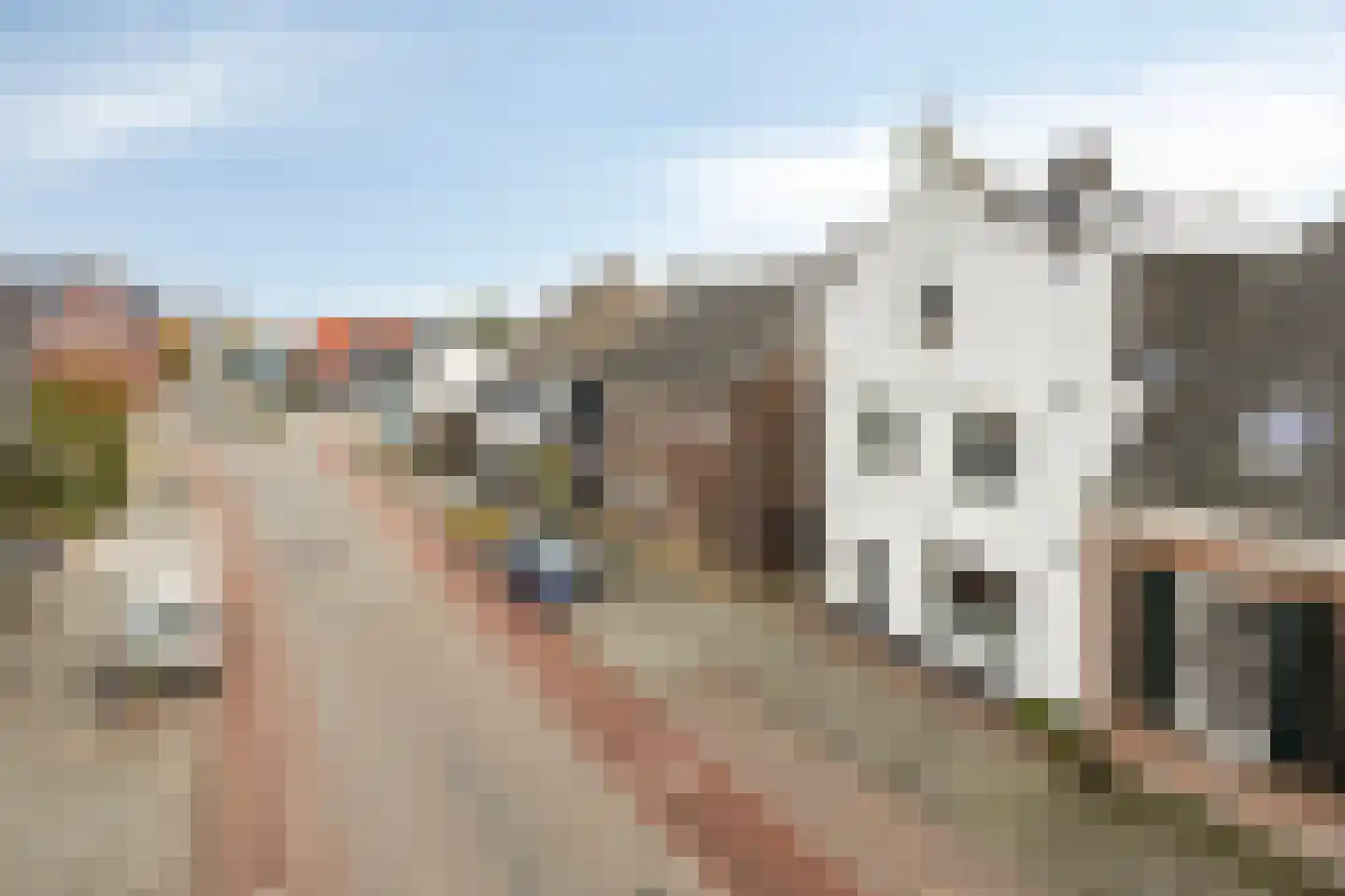 Bleijenhoek 10 Bladel thumbnail 94
