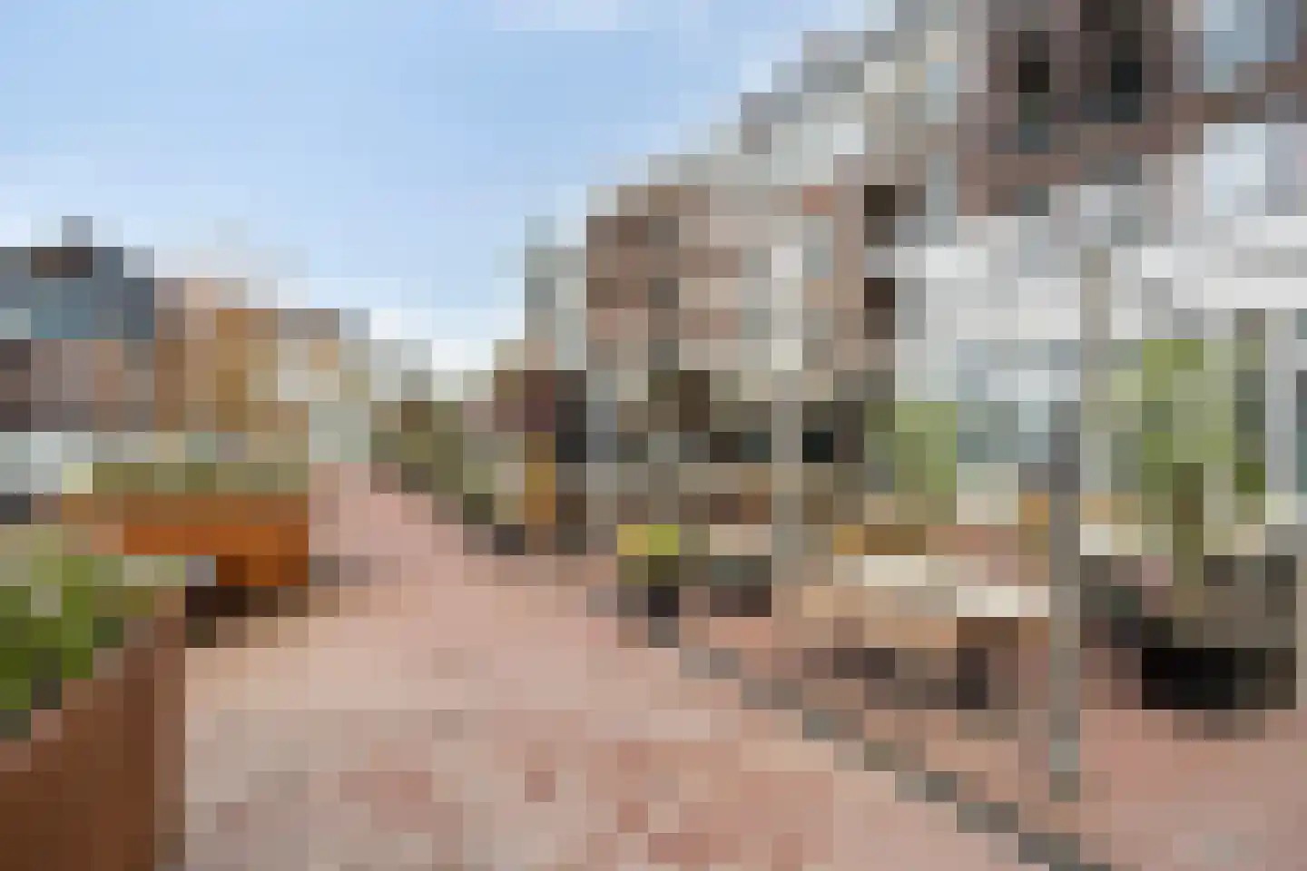 Bleijenhoek 10 Bladel thumbnail 96