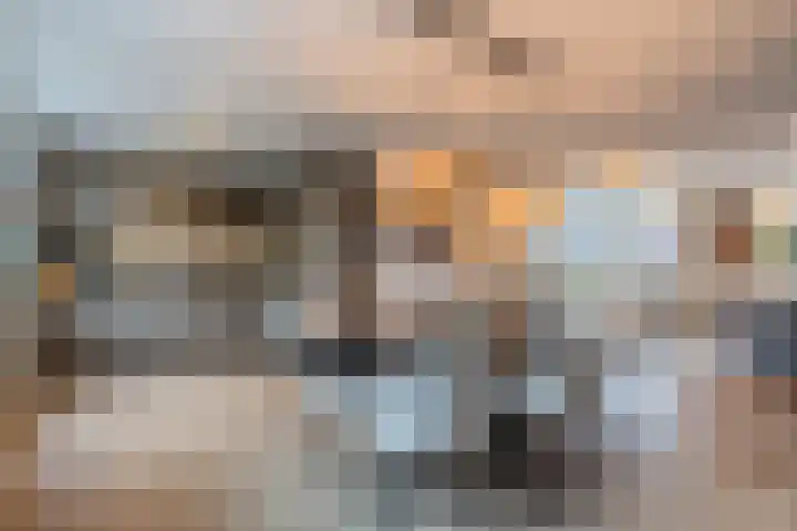 Bleijenhoek 11 B Bladel thumbnail 14