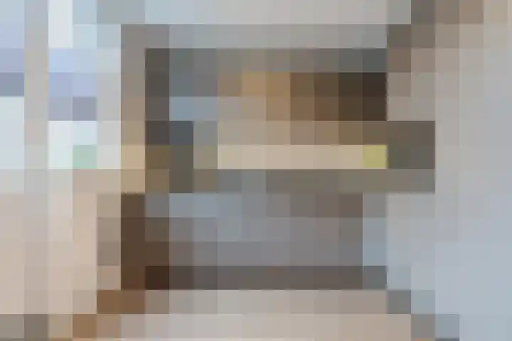 Bleijenhoek 11 B Bladel thumbnail 15