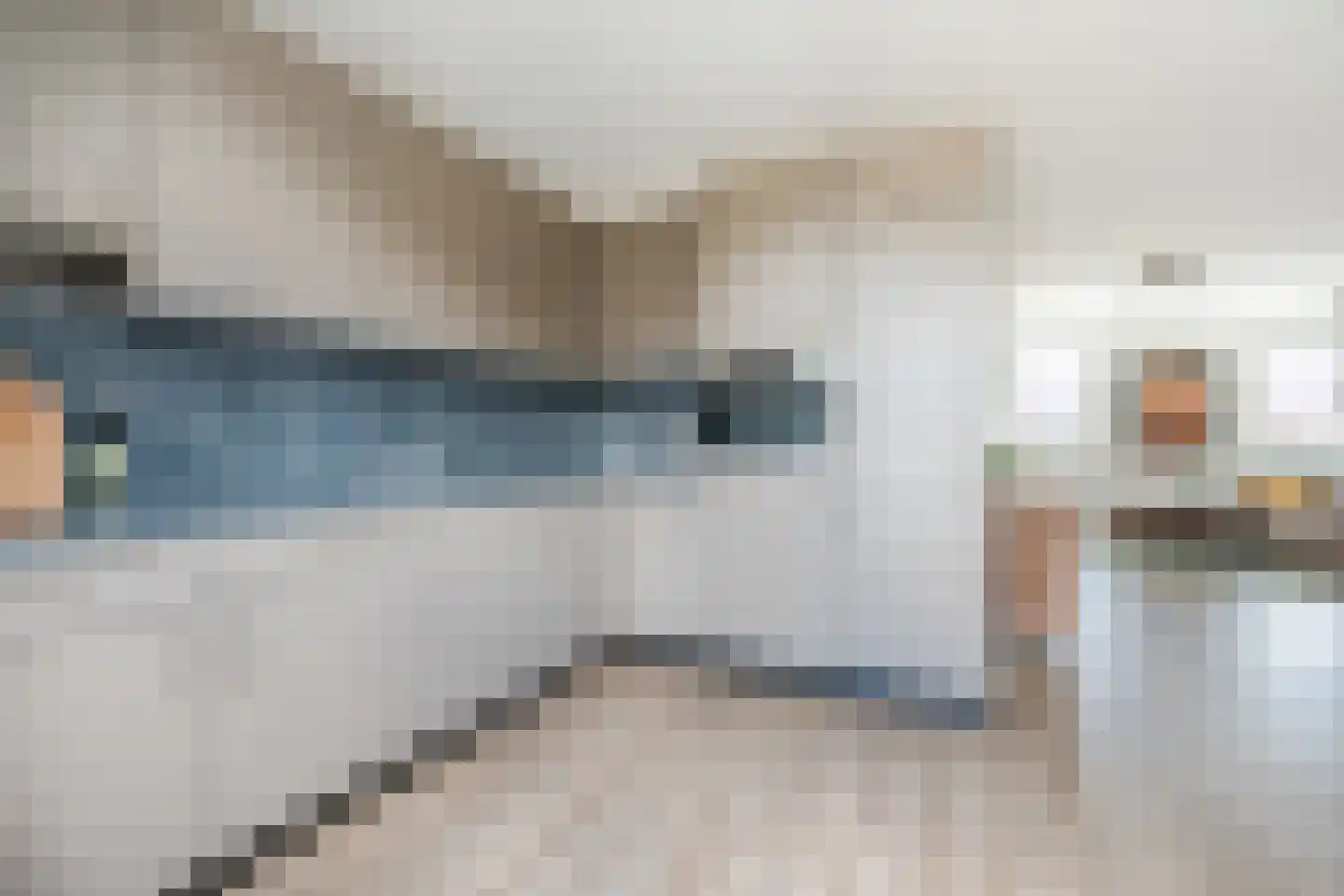 Bleijenhoek 11 B Bladel thumbnail 18