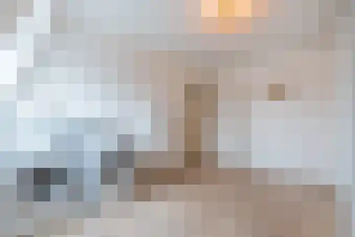 Bleijenhoek 11 B Bladel thumbnail 22