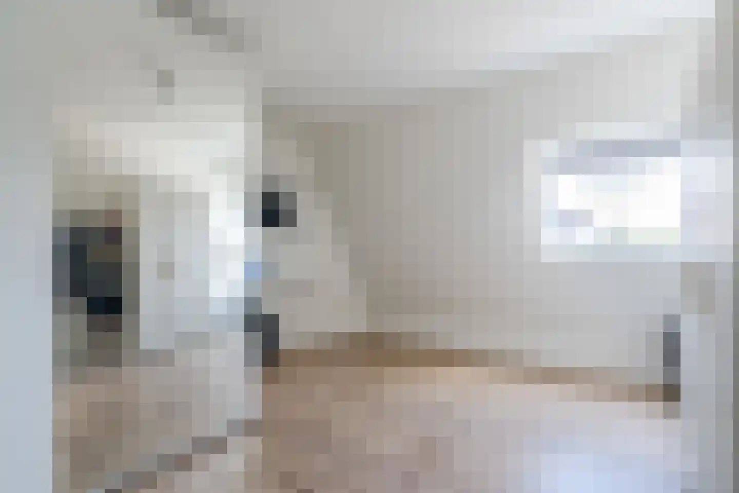 Bleijenhoek 11 B Bladel thumbnail 23