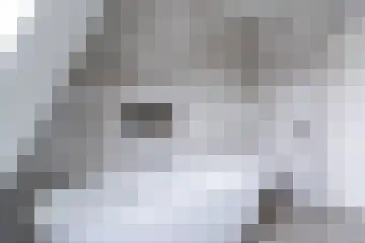 Bleijenhoek 11 B Bladel thumbnail 24