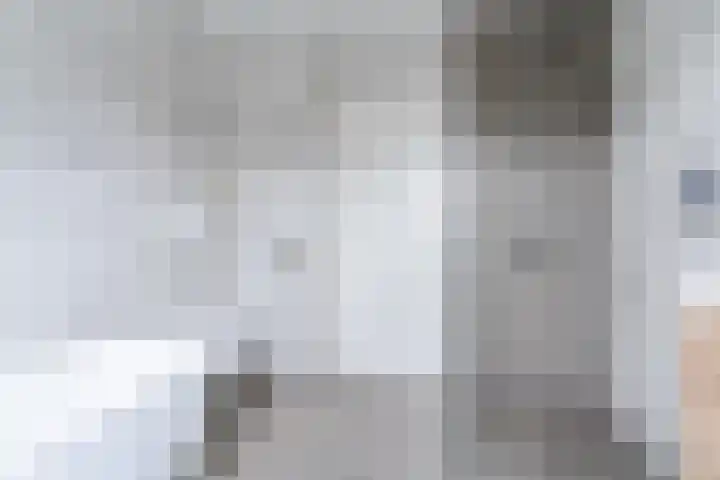 Bleijenhoek 11 B Bladel thumbnail 25