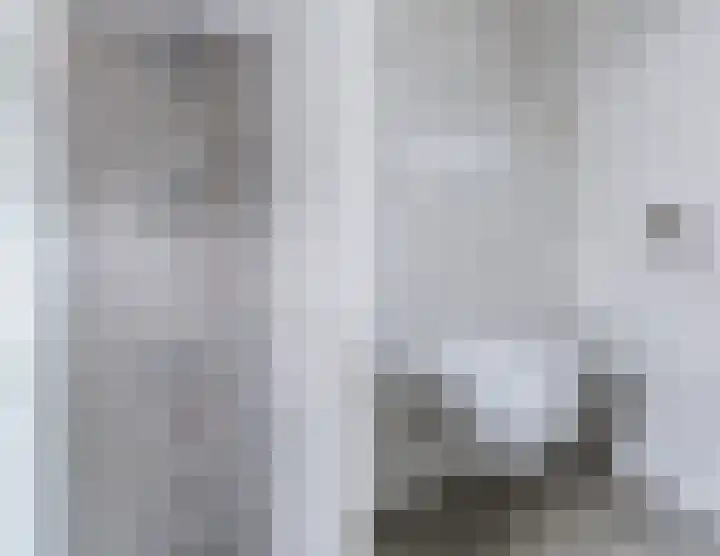 Bleijenhoek 11 B Bladel thumbnail 26