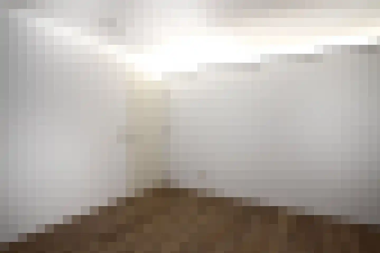Bleijenhoek 13 Bladel thumbnail 10