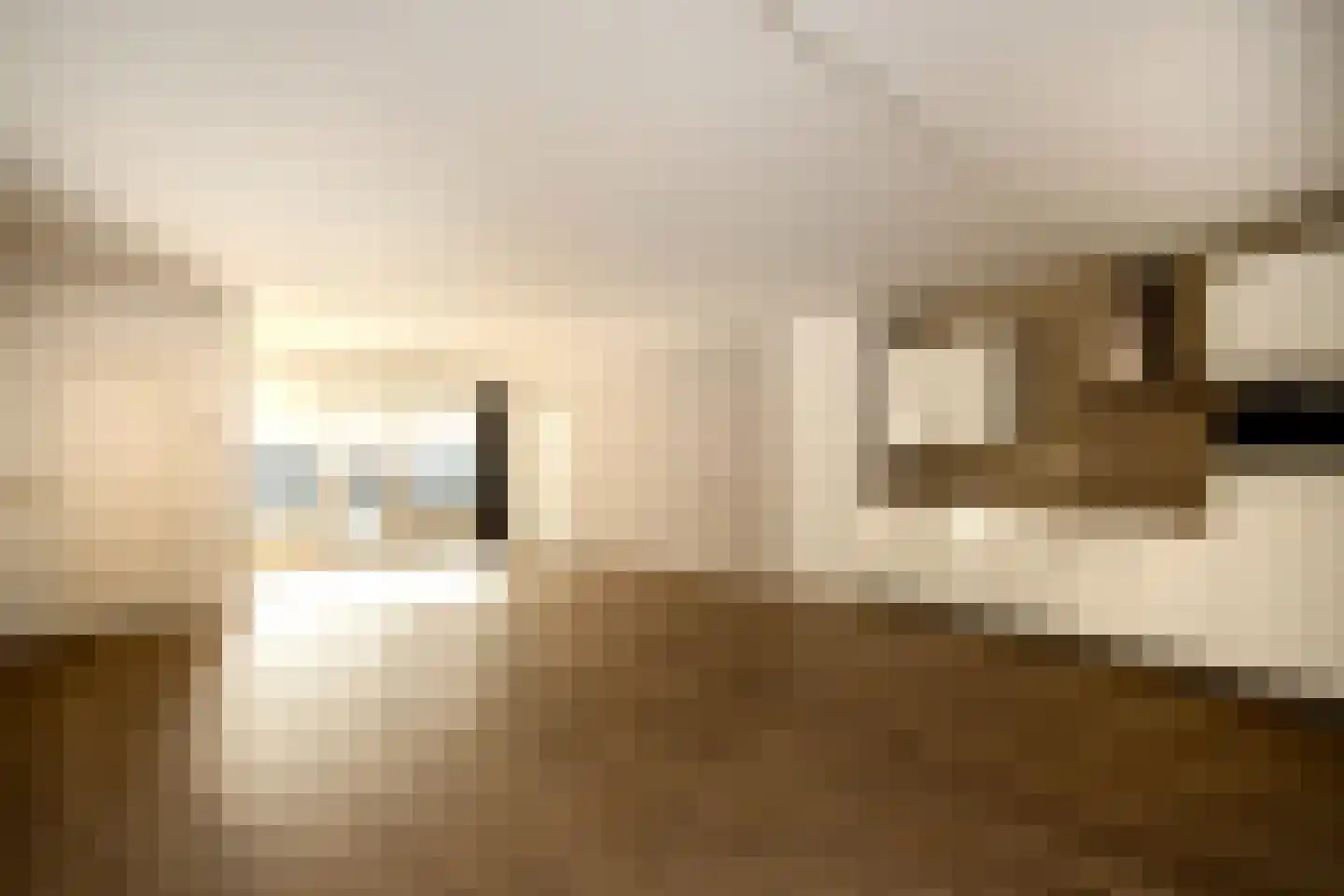 Bleijenhoek 13 Bladel thumbnail 4