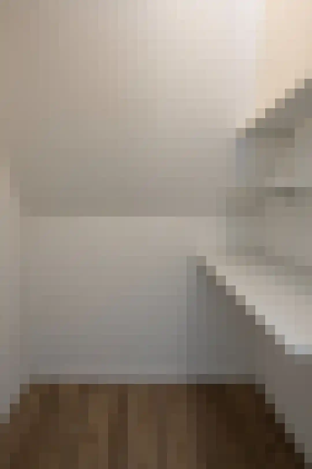 Bleijenhoek 13 Bladel thumbnail 9