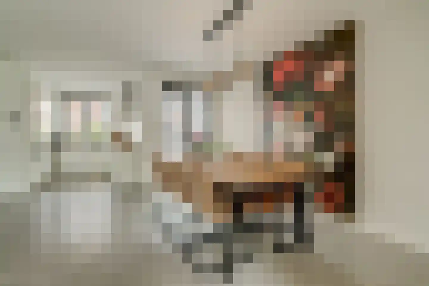 Bleijenhoek 16 A Bladel thumbnail 15