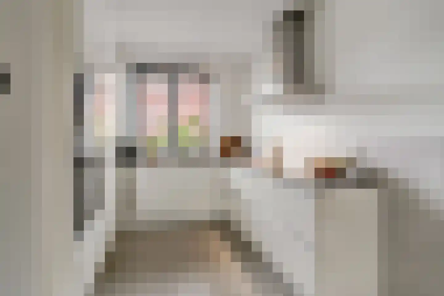 Bleijenhoek 16 A Bladel thumbnail 18