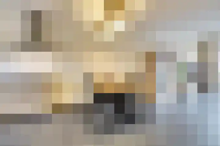Bleijenhoek 16 B Bladel thumbnail 10