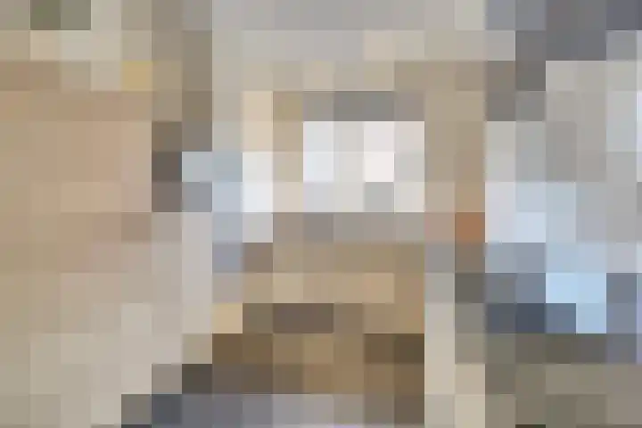 Bleijenhoek 16 B Bladel thumbnail 13