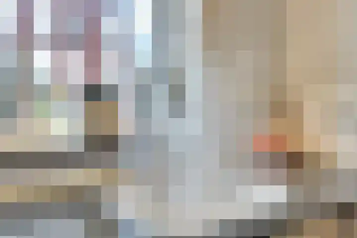 Bleijenhoek 16 B Bladel thumbnail 14