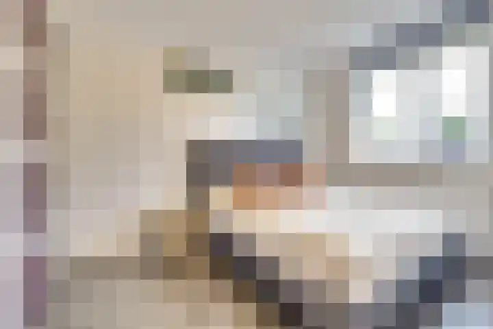 Bleijenhoek 16 B Bladel thumbnail 17