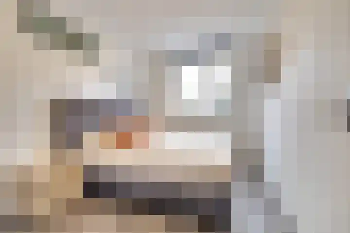 Bleijenhoek 16 B Bladel thumbnail 18
